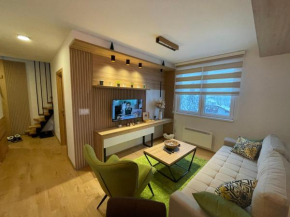 Vila Jahor Superior Apartman 16 “Minja”